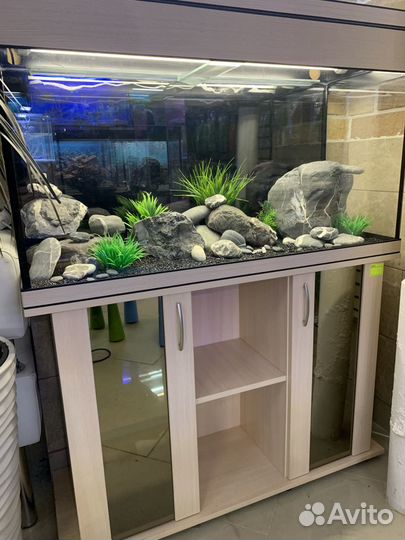 Аквариум