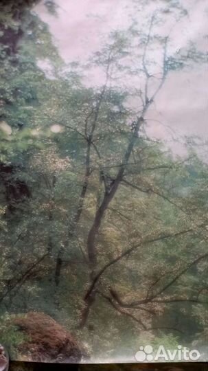 Фотообои немецкие бумажные