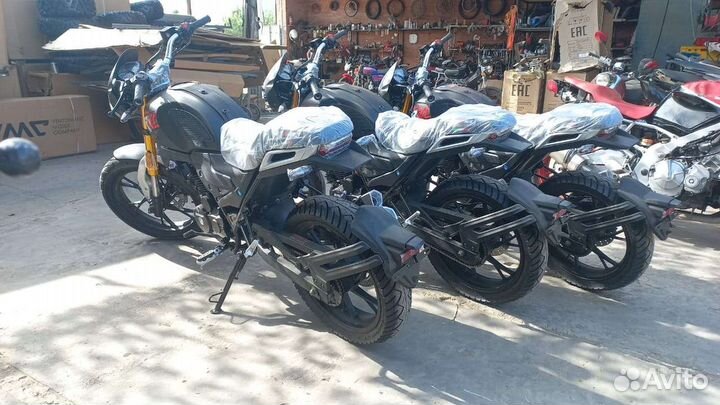 Cobra 250 новые