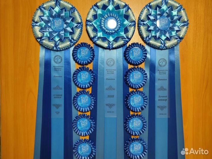 Наградные розетки для выставок