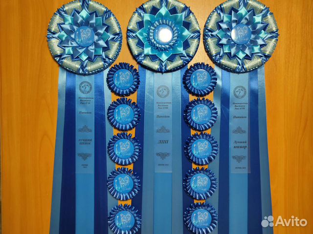 Наградные розетки для выставок