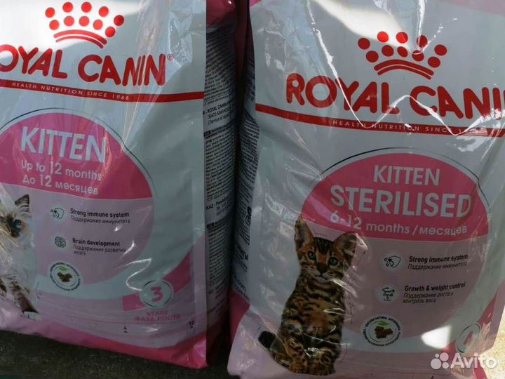 Корм для кошек и котят 13 кг киттен роял канин