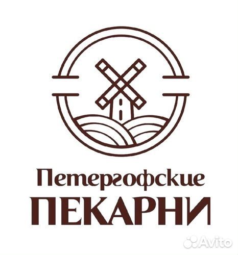 Мойщица