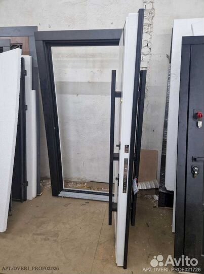 Двери с биометрией DV-4242