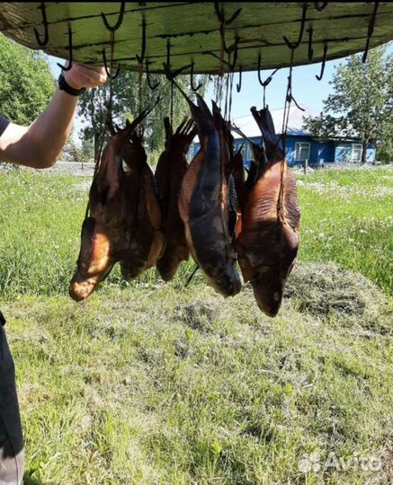 Копченый Линь, Лещ