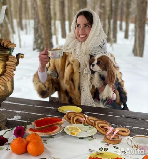 Красивый щенок на фотосессию