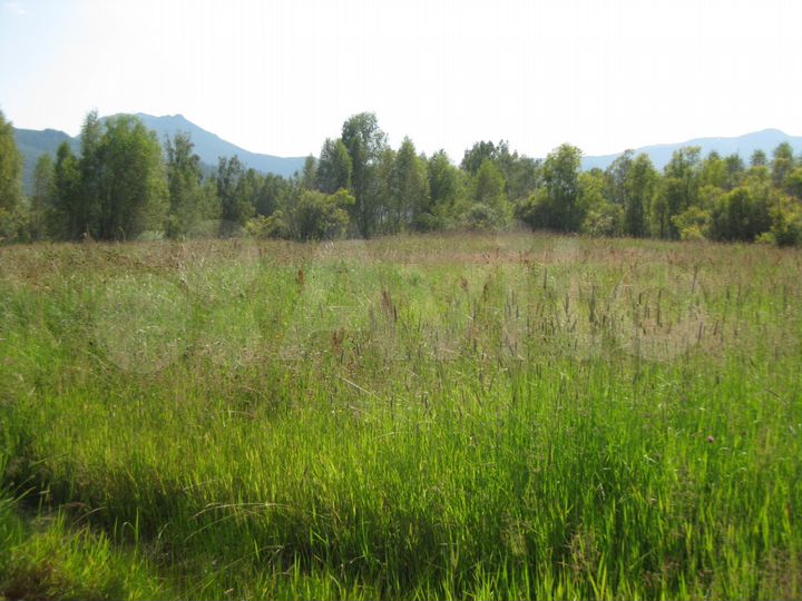 Участок 8,3 га (СНТ, ДНП)