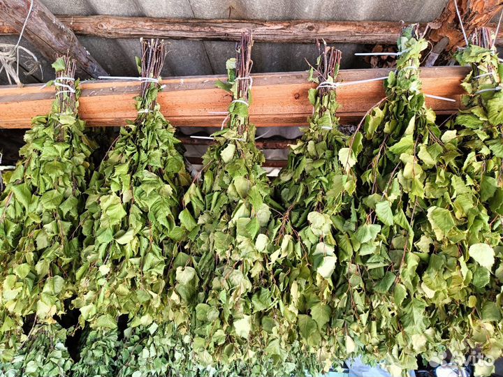 Березовые веники