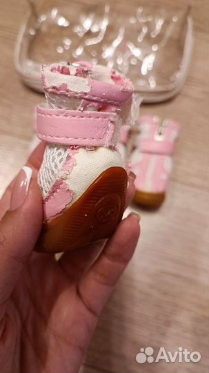 Ботинки для собак