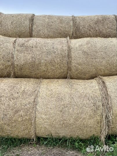 Сенаж люцерна и костер,солома в рулонах