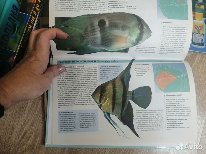 Аквариумные рыбки, растения и т.д