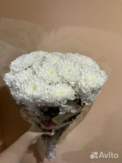 Букет цветов, Хризантемы