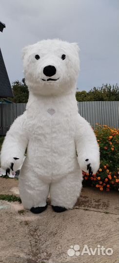 Белый мишка поздравление аниматор