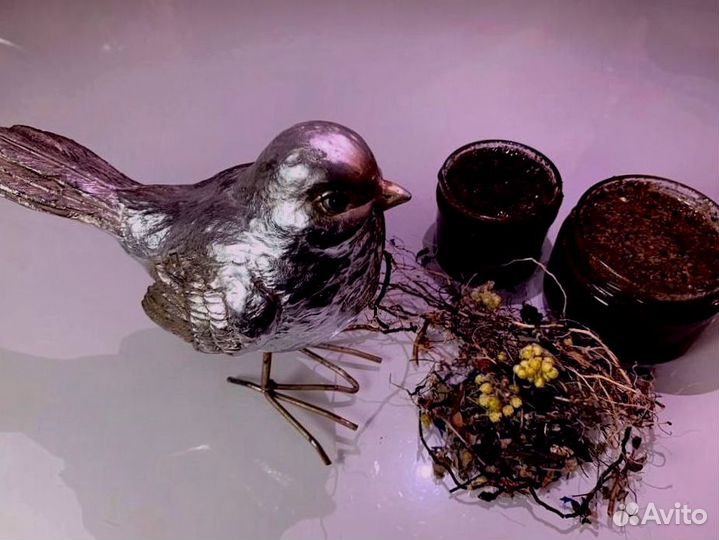 Медовый интимный стимулятор для мужчин