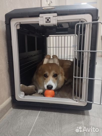 Переноска складная для кошек и собак