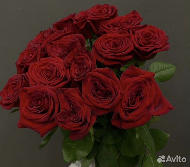 Букет роз 15 шт бонусная система для авито