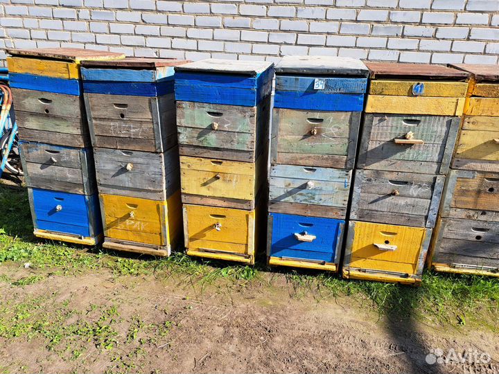 Продам ульи для пчел
