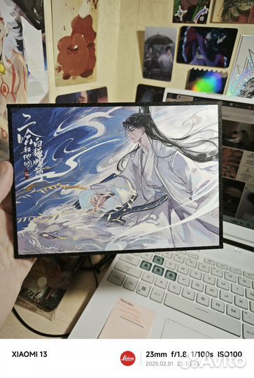 Шикиши Хаски и его учитель белый кот Эрха