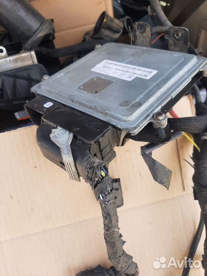 Эбу от двигателя ED3 2.4L