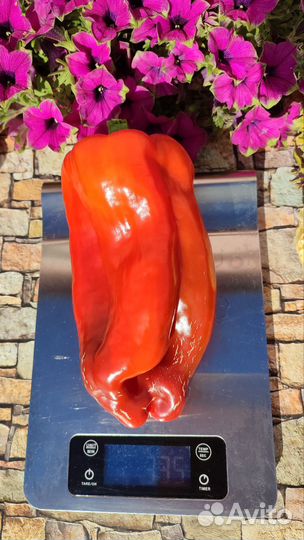 Семена коллекционных перцев