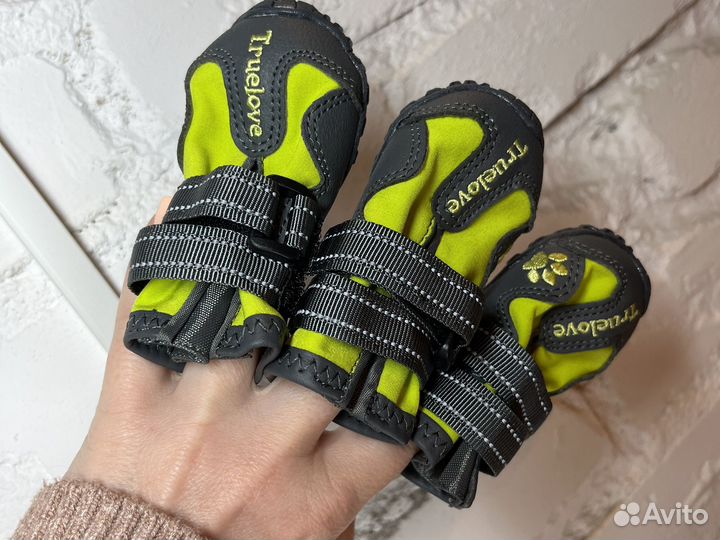 Обувь для собак