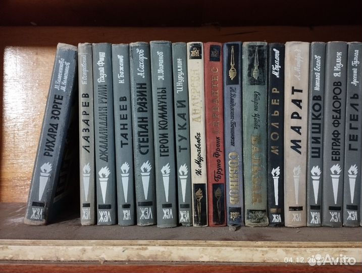 Книги Жизнь Замечательных Людей(жзл)