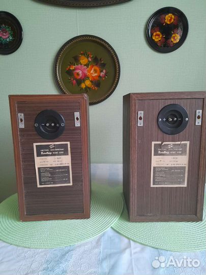 Акустика Кливер 10ас-232