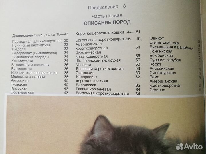 Книга о кошках