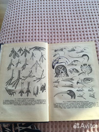 Определитель птиц.Фауны ссср.пп.Второв,Н.Н.Дроздов