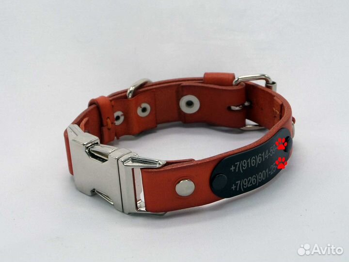 Ошейник с пряжкой фастекс