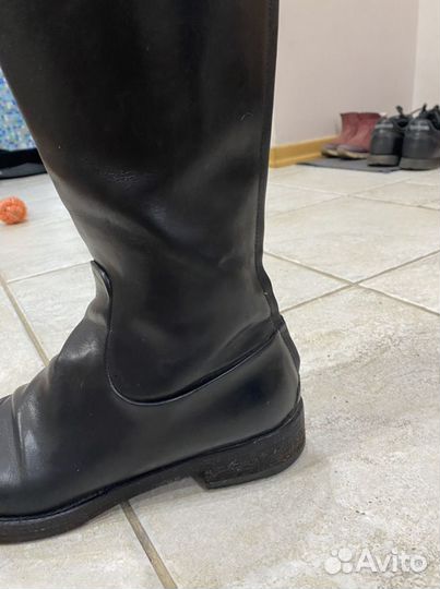 Сапоги gucci оригинал