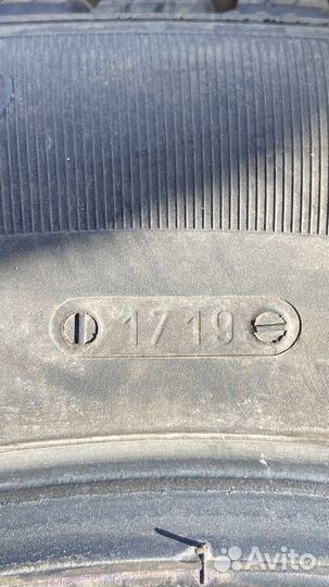 Tigar Winter 215/60 R17 96H