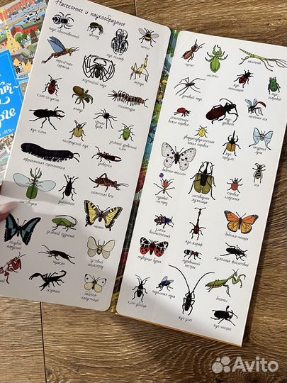 Виммельбух