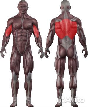 Вертикальная тяга vertex NWS 111А