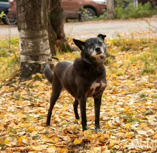 Выбирайте сердцем