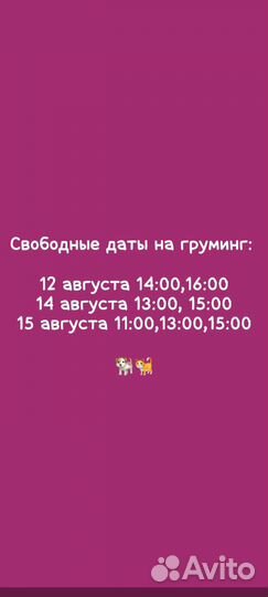 Груминг (стрижка собак)