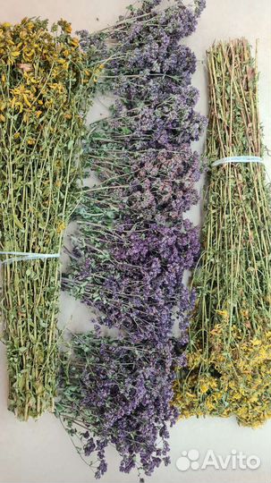 Душица (матрешка) и зверобой