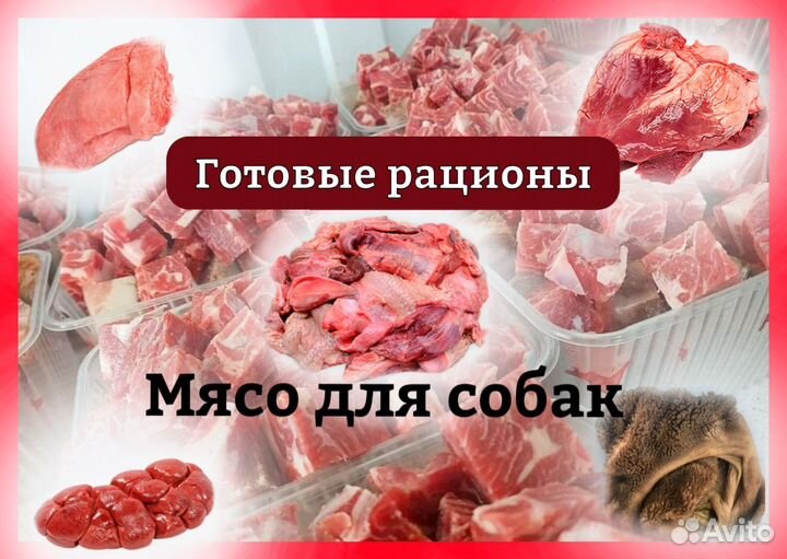 Готовый рацион для собак. Мясо для собак. Говядина