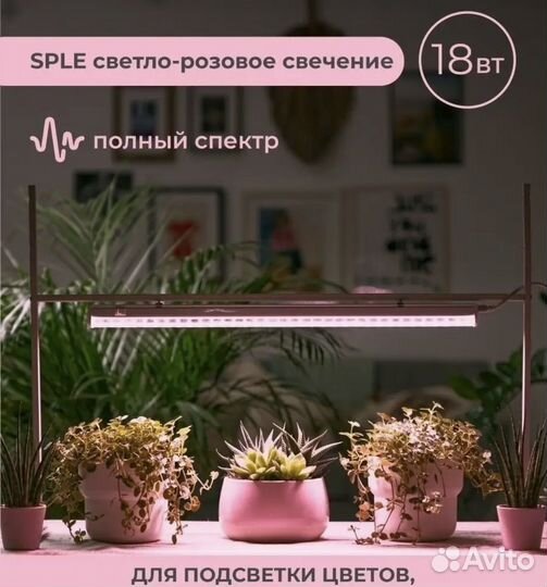 Фитолампа для растений