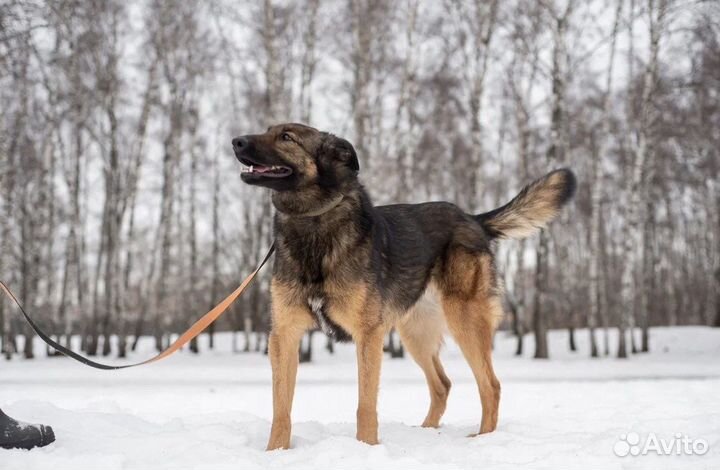 Зира мечтает познакомится с Вами