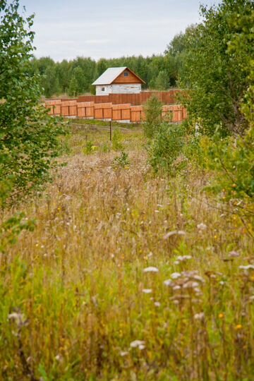 Участок 10 сот. (СНТ, ДНП)