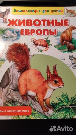 Энциклопедия для детей