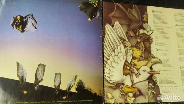Kate Bush фирменный винил пластинки