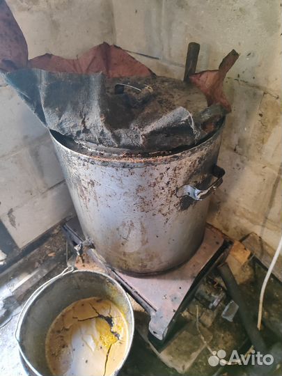 Пчелы пасека