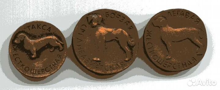 Значки фауна 2