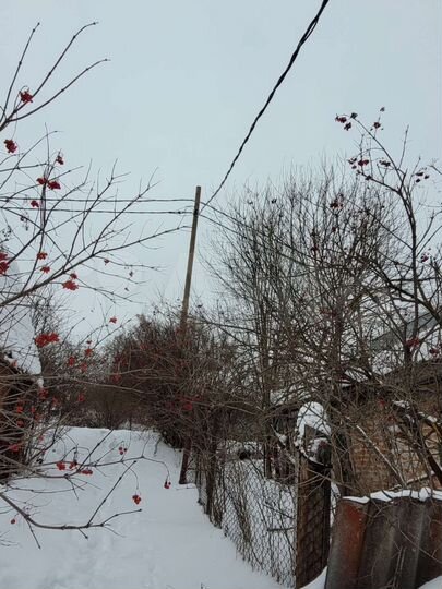 Участок 3 сот. (СНТ, ДНП)