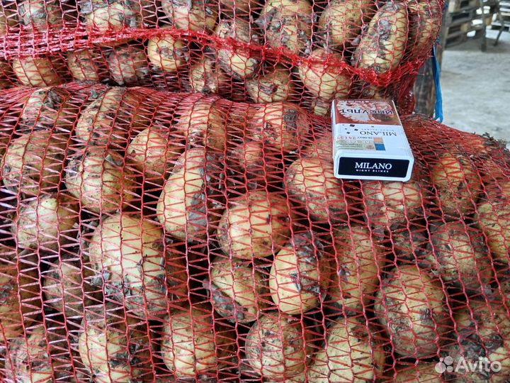 Продукты питания