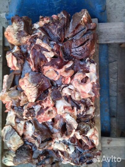 Мясо для собак (субпродукты)