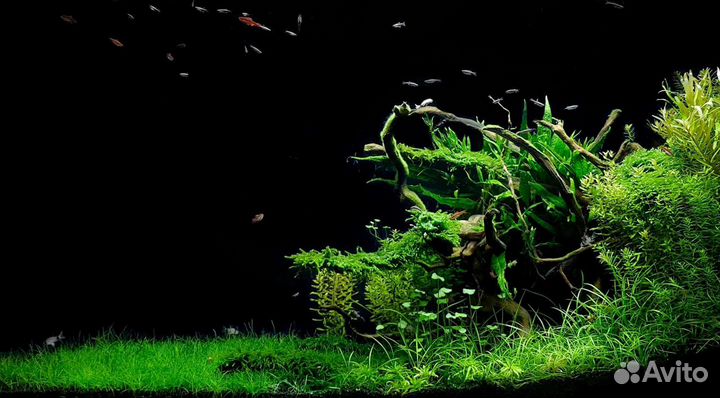 Оформление аквариума