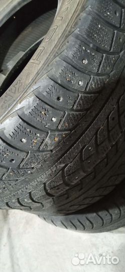 Gislaved Nord Frost 5 195/65 R15